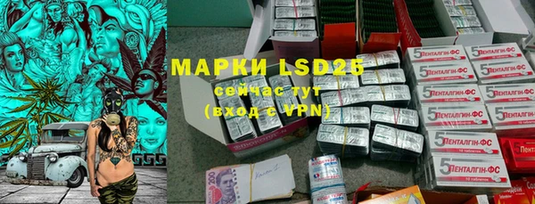 ПСИЛОЦИБИНОВЫЕ ГРИБЫ Рославль