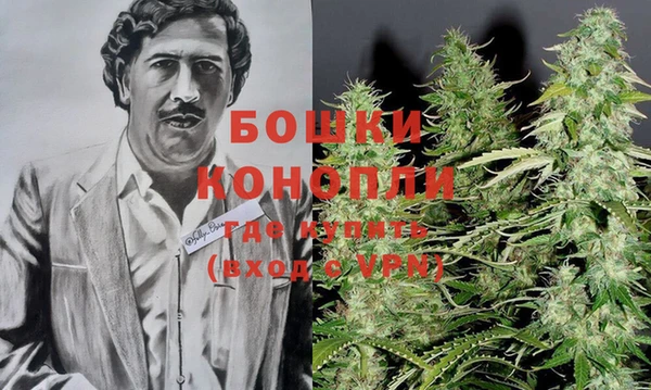 ПСИЛОЦИБИНОВЫЕ ГРИБЫ Рославль