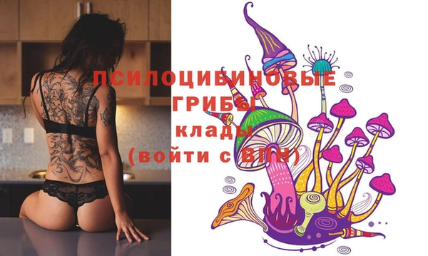 прущий лед Пролетарск